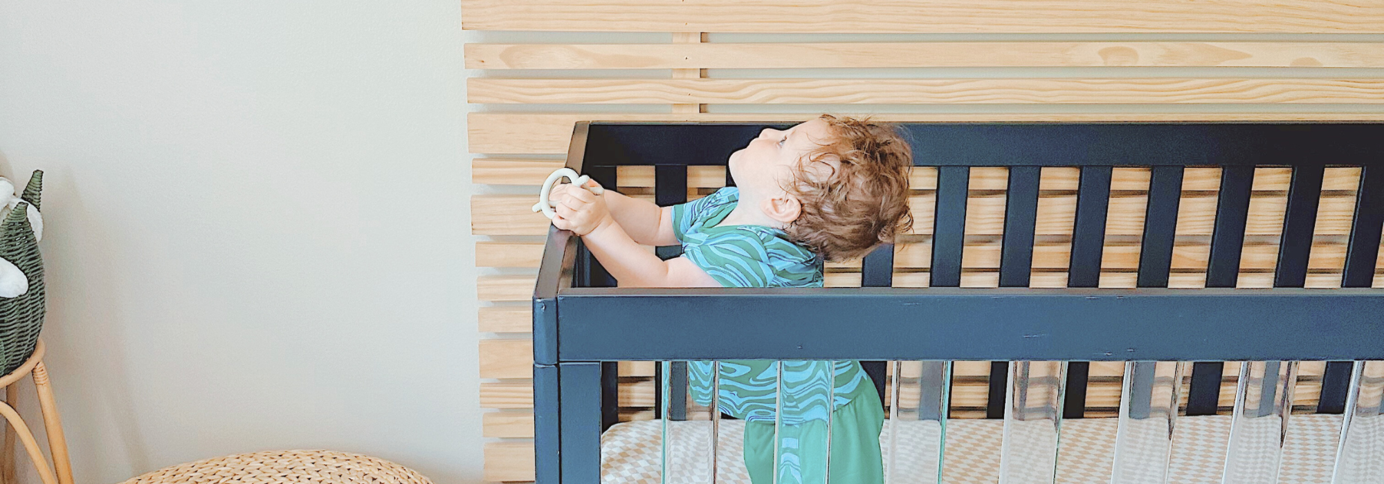 zooby® baby monitor | Jordan Giraffe